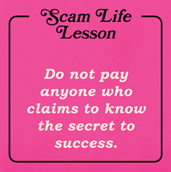 Pink background with the text 'Scam Life Lesson' at the top and 'Do not pay anyone who claims to know the secret to success' in the center.