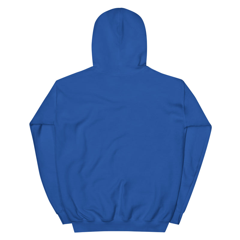 A blue hoodie viewed from the back.